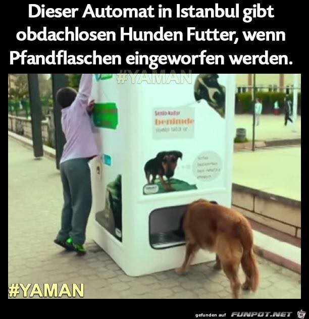 Hundefutter-Automat