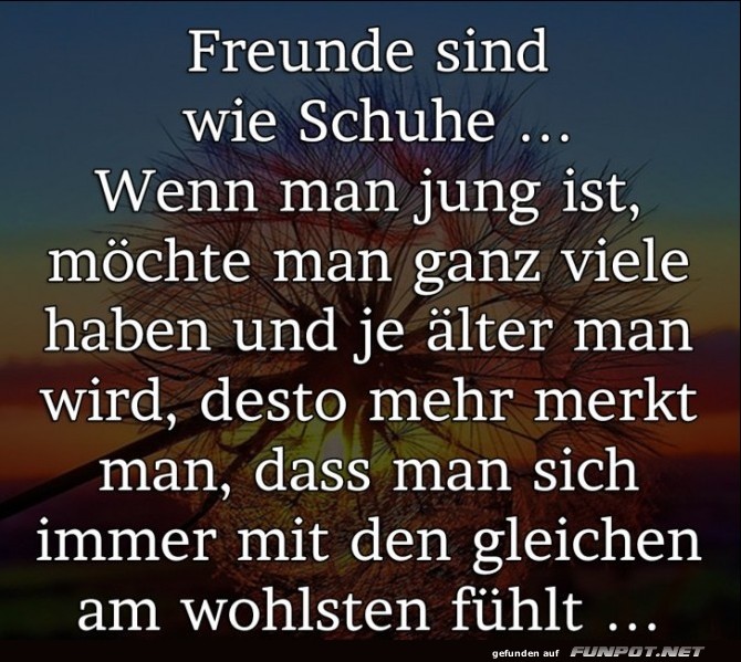 10 sch�ne Spr�che und Lebensweisheiten aus...