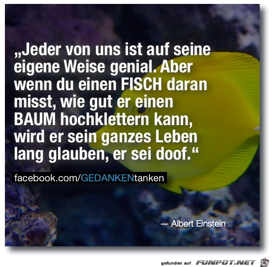 Fisch