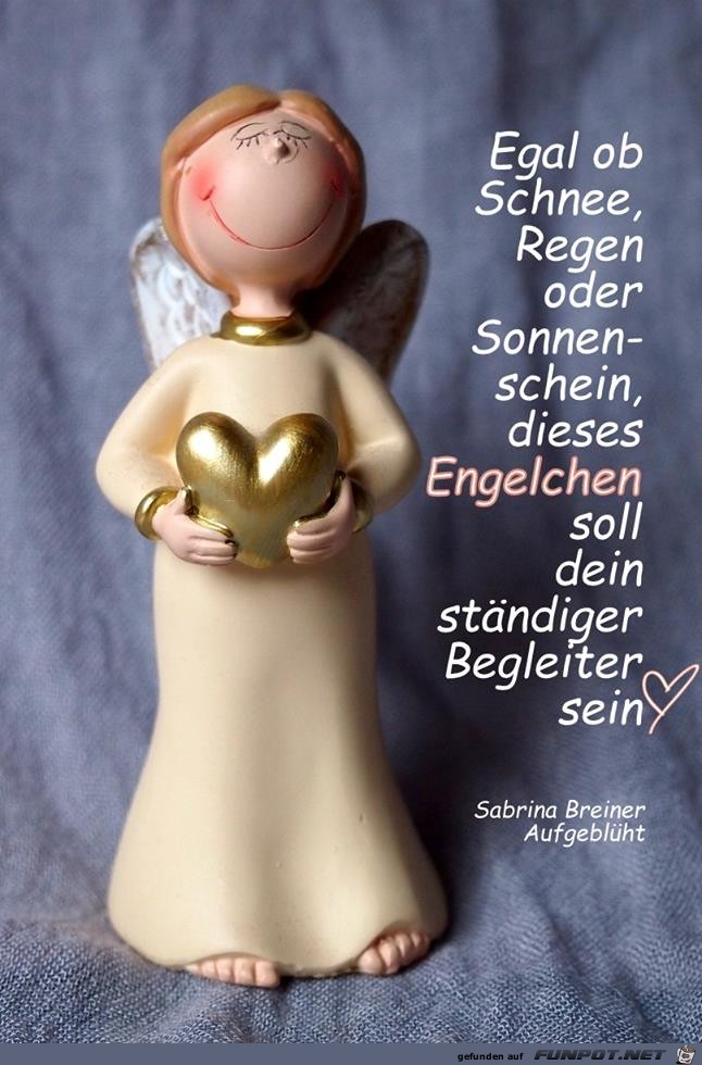 Egal ob Schnee, Regen oder... Egal ob Schnee, Regen oder...