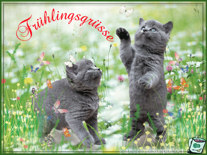 Fruehlingsgruesse Fruehlingsgruesse