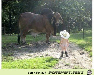 Ein echter Cowboy hat KEINE ANGST Ein echter Cowboy hat KEINE ANGST