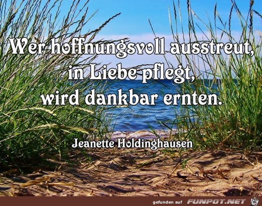 hoffnungsvoll hoffnungsvoll