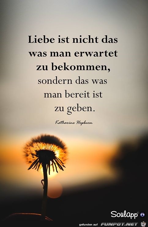 zu geben zu geben