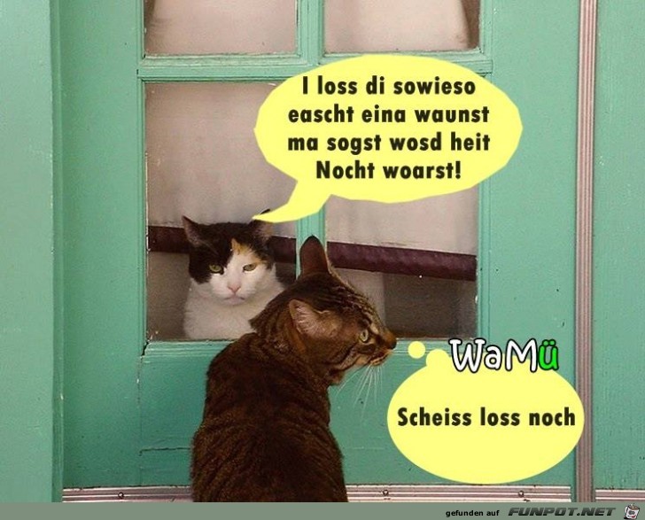 Ich lasse Dich erst ein Ich lasse Dich erst ein