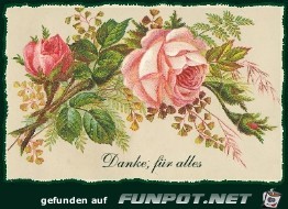 Danke 2 Danke 2