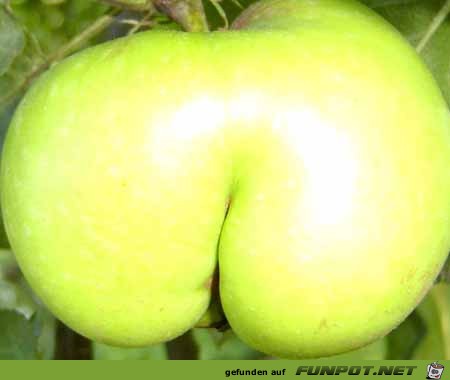 Apfelarsch