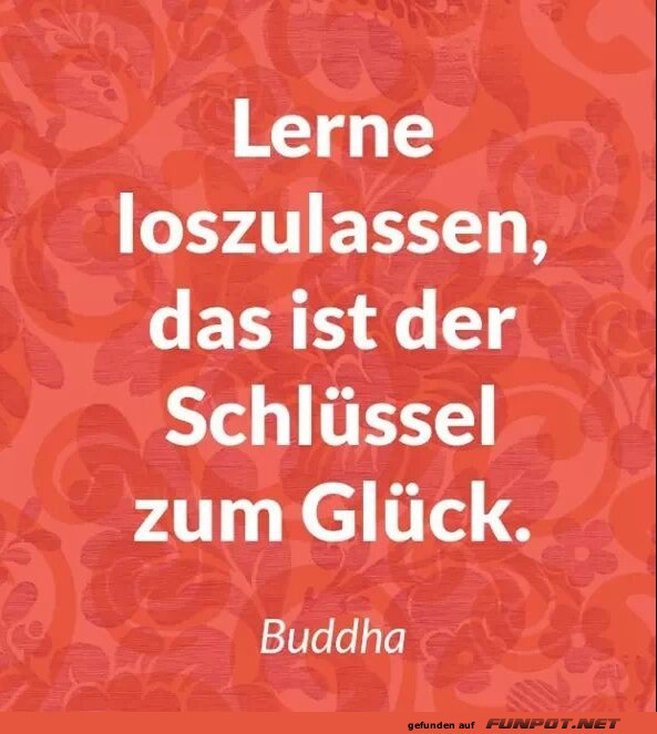 10 sch�ne Spr�che und Lebensweisheiten aus...
