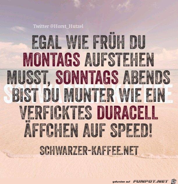 Munter Munter