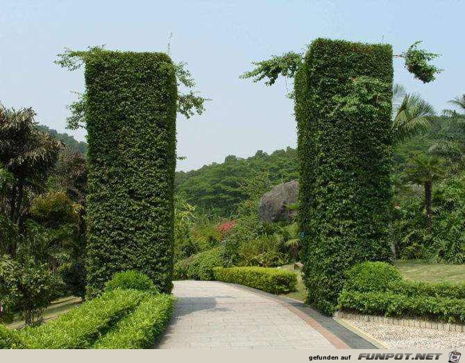 Gartenkunst - oder die Kunst mit Pflanzen umzugehen