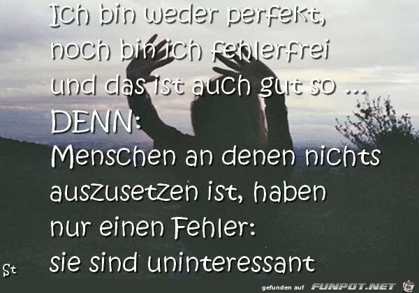 Ich bin weder perfekt noch bin ich... Ich bin weder perfekt noch bin ich...