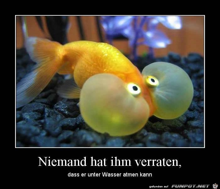 Unbenannt 1 Unbenannt 1