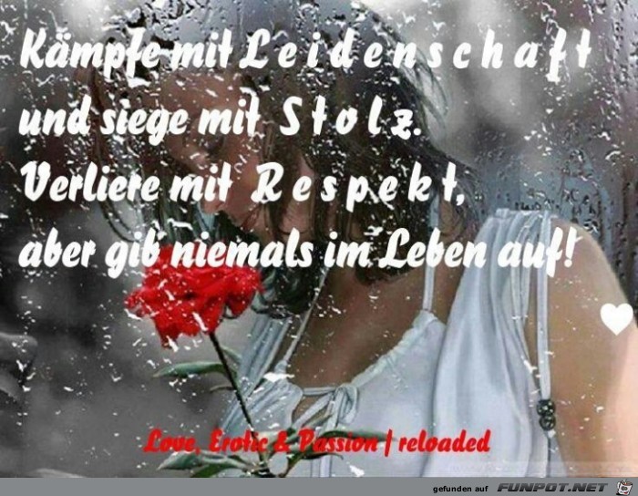 kaempfe mit kaempfe mit
