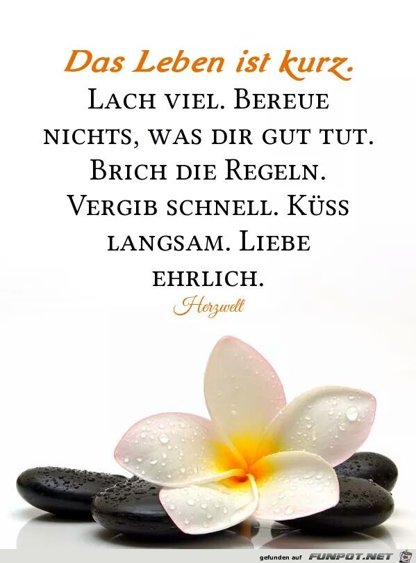 das Leben ist kurz das Leben ist kurz