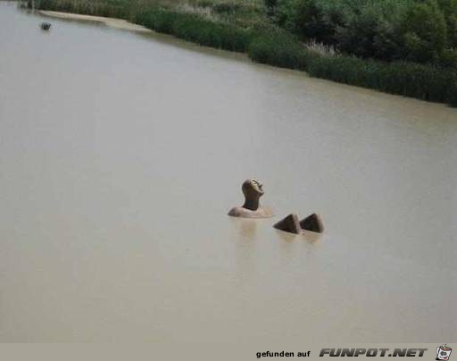 image019 image019