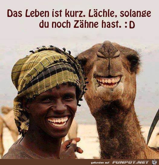 Laechle Laechle