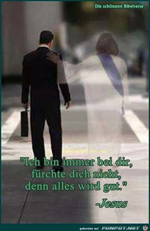 Immer Immer