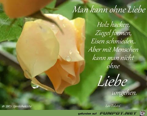 ohne Liebe