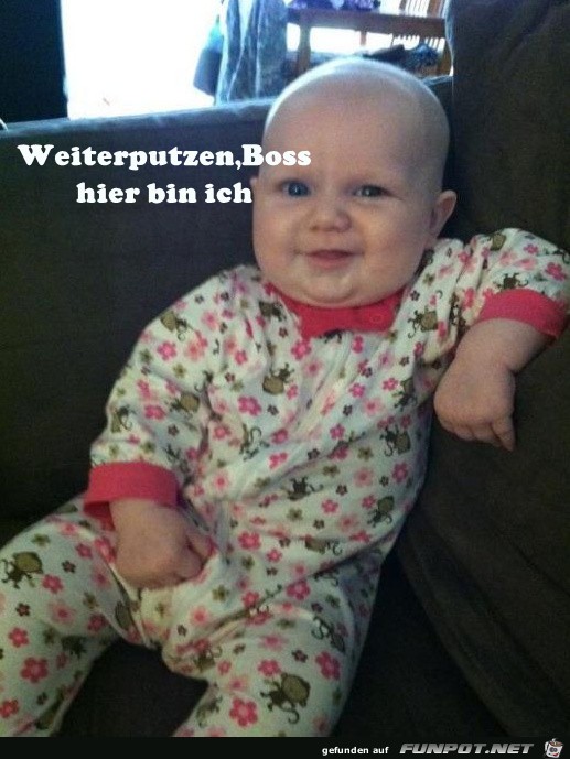 Like a Boss Like a Boss