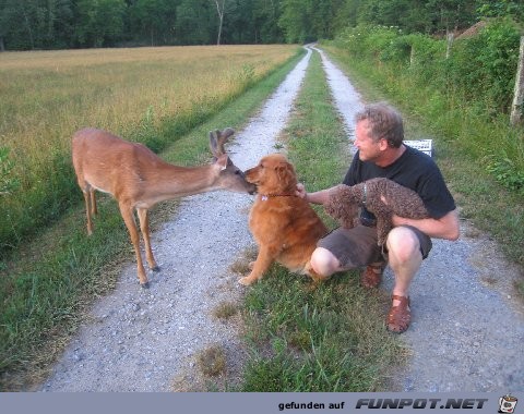 Selten und Wunderbar!