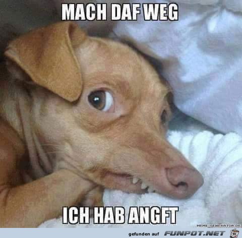 Ich hab Angst