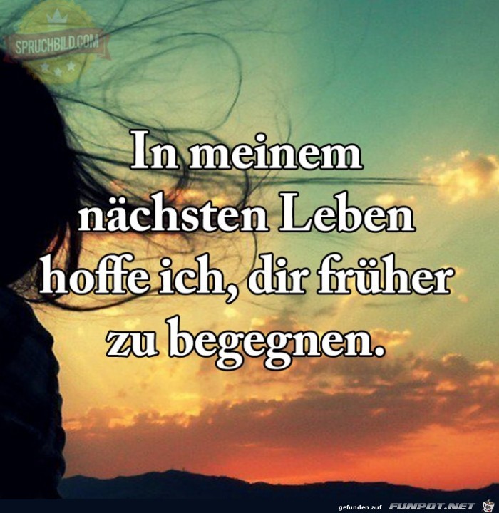 Im naechsten Leben