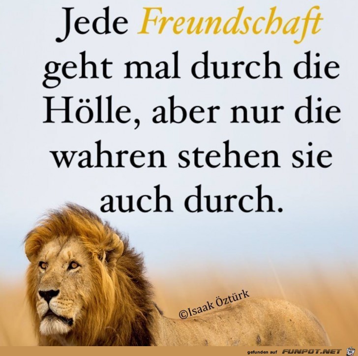 Jede Freundschaft