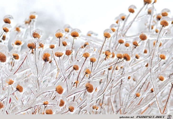 Gigantische Schnee- und Eis-Formationen!