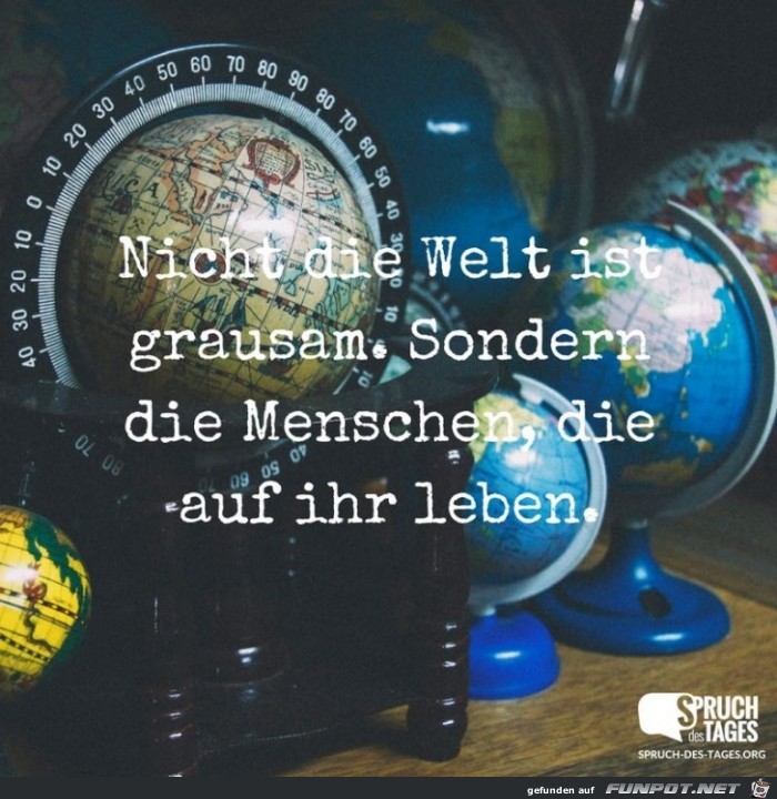 nicht-die-welt-ist-grausam-