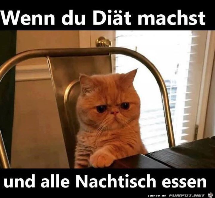 Diaet Diaet
