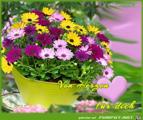 herz34 herz34