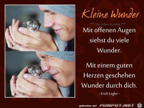 mit offenen Augen siehst Du viele Wunder mit offenen Augen siehst Du viele Wunder