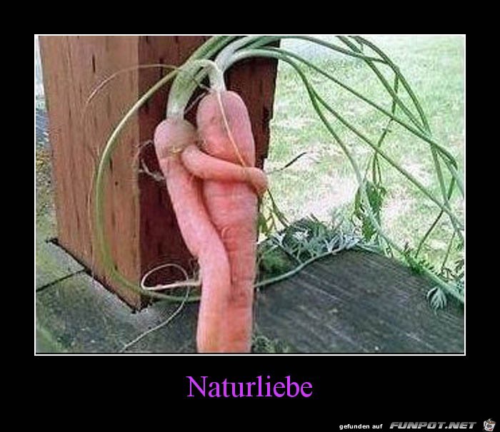 Naturliebe