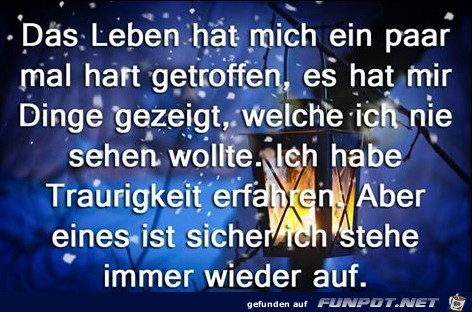 Das Leben hat mich Das Leben hat mich