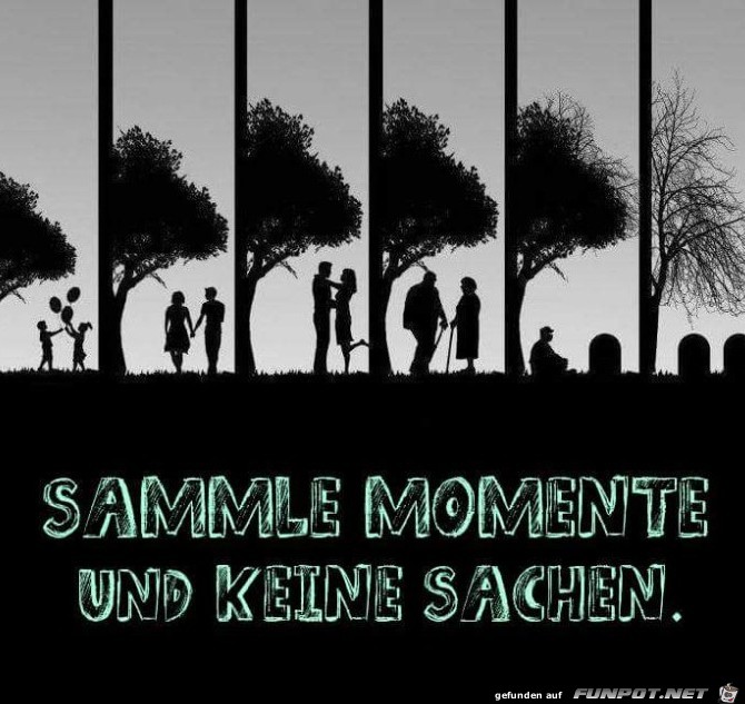 sammle Momente