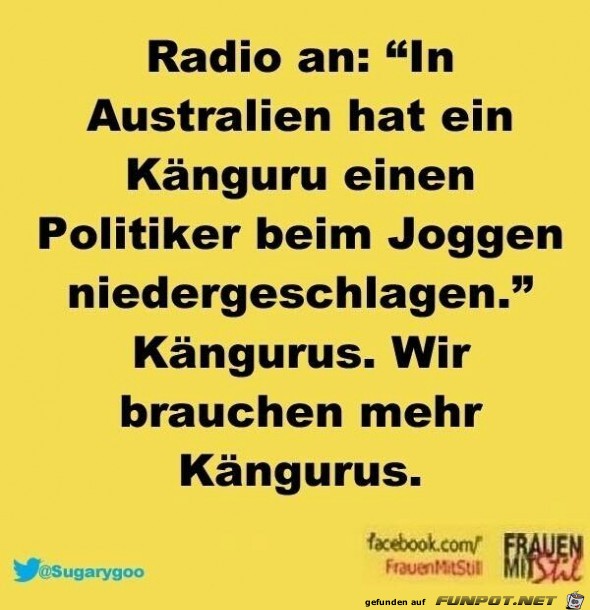 mehr Kaengurus