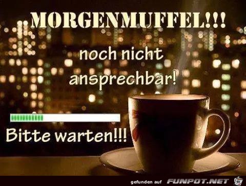 Morgenmuffel