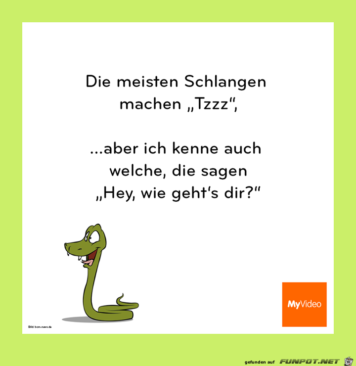 Schlangen Schlangen