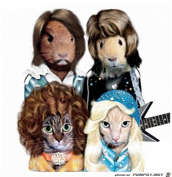 Abba Abba