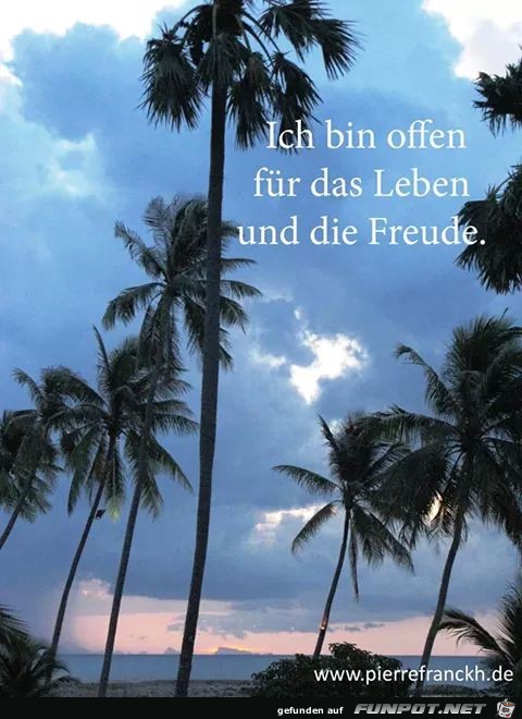 Offen Offen