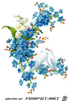 spring-flowers-4