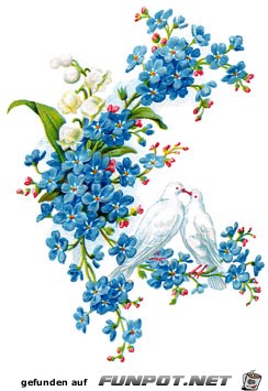 spring-flowers-4 spring-flowers-4