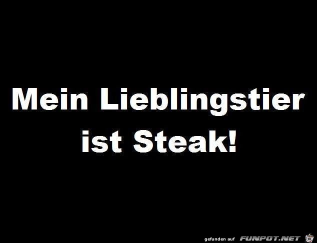 Lieblingstier Lieblingstier