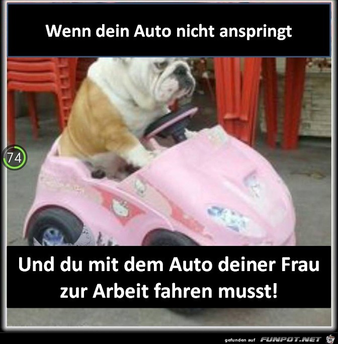 Dein Auto springt nicht an