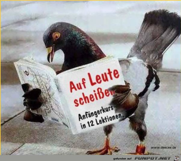 auf-leute-scheissen auf-leute-scheissen
