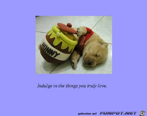 Indulge Indulge