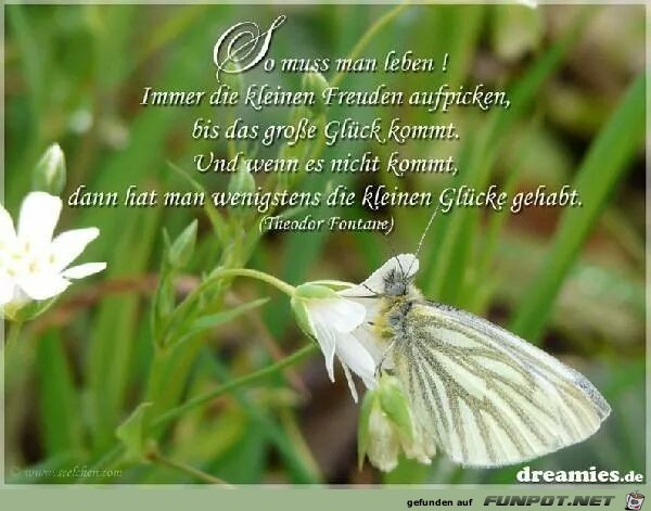 Grosses Glueck Grosses Glueck