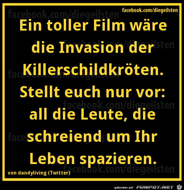 diegeilsten Killerschildkroeten diegeilsten Killerschildkroeten