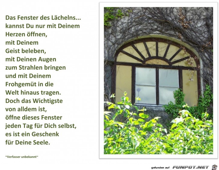 Das Fenster des Laechelns-1