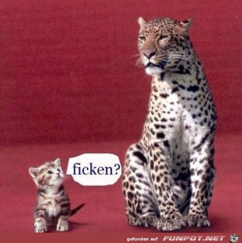mama-was-ist mama-was-ist
